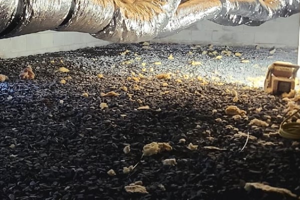 A crawl space before encapsulation. The HVAC ductwork is exposed to temperature changes and remnants of fiberglass batt insulation is on the floor.