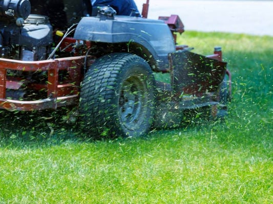 A riding lawn mower being used to cut green grass.