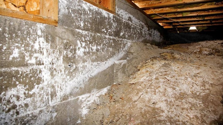 A vented crawl space with no moisture management or controlled ventilation.