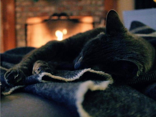 A cat sleeping on a blanket in front of a fireplace in a house.