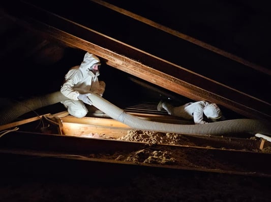 Two installers at South Central Services insulating an attic with blown-in cellulose insulation.